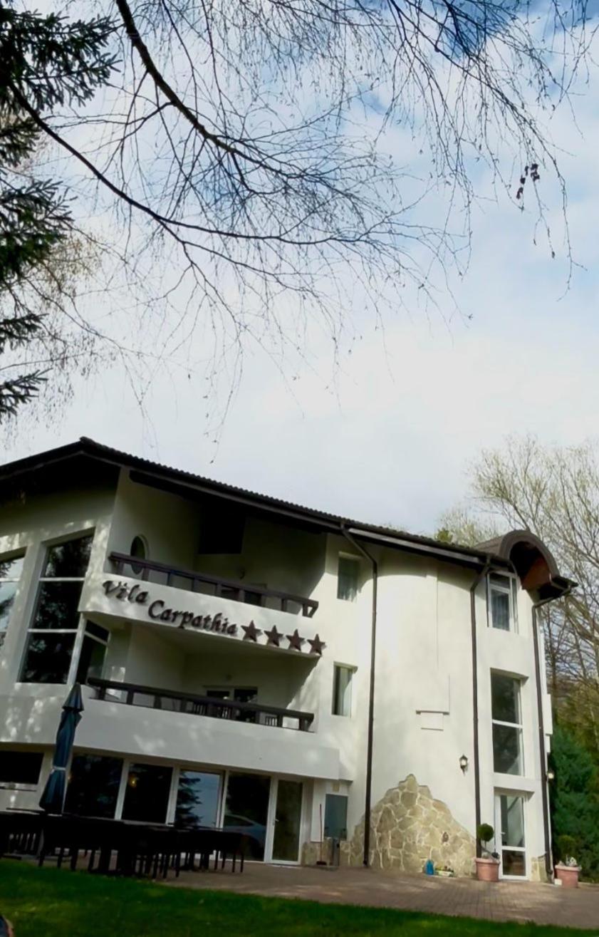 Vila Carpathia 布朗 外观 照片