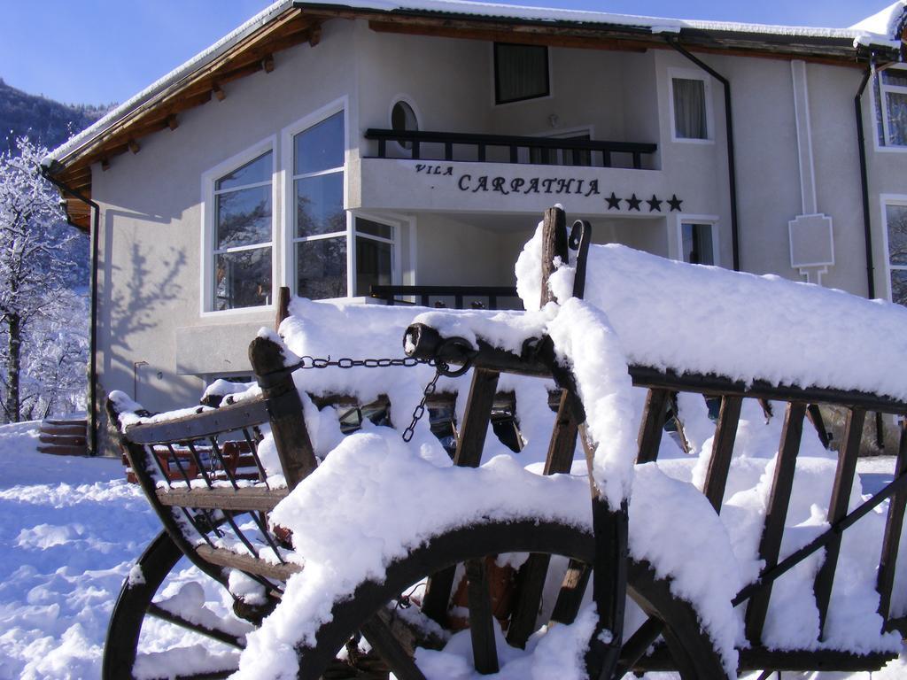 Vila Carpathia 布朗 外观 照片