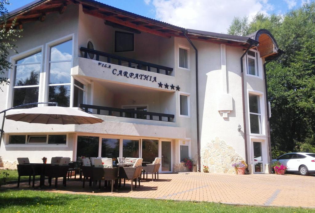 Vila Carpathia 布朗 外观 照片